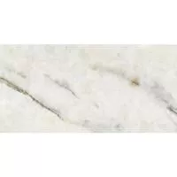 Плитка ALMERA CERAMICA Spain P.E. PUL PRESTIGE NATURAL 1200x600 изображение 1