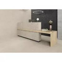 Плитка Argenta Ceramica FLODSTEN ARTIC 60x60 зображення 1