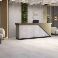 Плитка CERAMICA DESEO BESANA EC.RLV.SOFT BESANA GREY 120x60 изображение 2