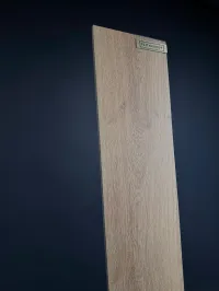 Плитка CERAMICA DESEO Exclusive EP-00046 20x120 зображення 1