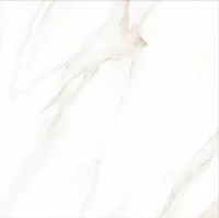 Плитка CERAMICA DESEO Lacerta 10TB039 ISIDA 100x100 зображення 1