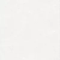 Плитка CERAMICA DESEO Lacerta 10TB048 AVIORA 100x100 зображення 2