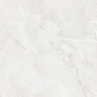 Плитка CERAMICA DESEO Optex 38684 VESPERA LIGHT GLOSSY 60x60 зображення 1