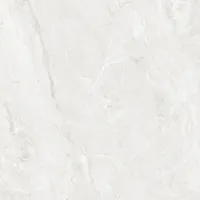 Плитка CERAMICA DESEO Optex 38684 VESPERA LIGHT GLOSSY 60x60 зображення 5