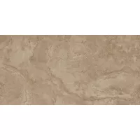 Плитка CERAMICA DESEO Optex GRAVINIA CROSSCUT LIGHT BROWN 120x60 зображення 9