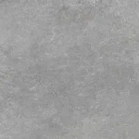 Плитка Cerrad SELLIA Silver 60x60 изображение 1