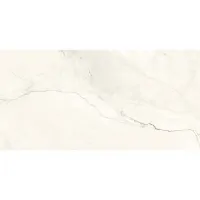 Плитка Geotiles Eterna 60x120 изображение 1
