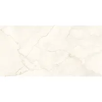 Плитка Geotiles Eterna 60x120 изображение 2
