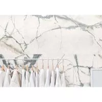 Плитка IMOLA The Room INV WH6 12 LP 120x60 изображение 1