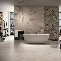 Плитка IMOLA The Room SAN PE6 12 RM 120x60 изображение 1