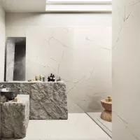 Плитка IMOLA The Room STA VP6 12 LP 120x60 зображення 1