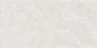 Плитка MEGAGRES ARCTIC ARCTIC POLISHED 120x60 зображення 2