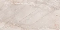 Плитка MEGAGRES Optex STONICO OYSTER GREY 120x60 зображення 5