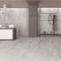 Плитка MEGAGRES Optex STONICO OYSTER GREY 120x60 зображення 8