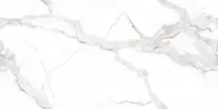 Плитка MEGAGRES Optex VENATO BIANCO POLISHED 120x60 зображення 1