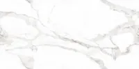 Плитка MEGAGRES Optex VENATO BIANCO POLISHED 120x60 зображення 2