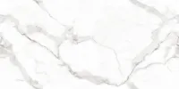 Плитка MEGAGRES Optex VENATO BIANCO POLISHED 120x60 зображення 3