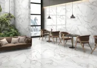 Плитка MEGAGRES Optex VENATO BIANCO POLISHED 120x60 зображення 4