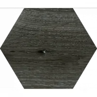 Плитка MONOPOLE YOSEMITE GRAFITO EXA 20х24 зображення 5