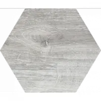 Плитка MONOPOLE YOSEMITE GRIS EXA 20х24 зображення 4