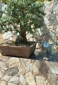 Плитка Oset Tapia Zahara 32х32 зображення 1