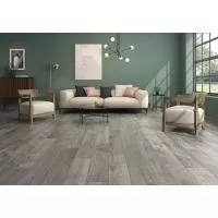 Плитка Pamesa Ceramica AT. OREGON CENIZA 20x120 зображення 1