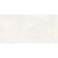 Плитка Pamesa Ceramica Core Pro 60X120 120x60 изображение 1