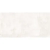 Плитка Pamesa Ceramica Core Pro 60X120 120x60 изображение 2