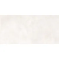 Плитка Pamesa Ceramica Core Pro 60X120 120x60 изображение 3