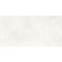 Плитка Pamesa Ceramica Core Pro 60X120 120x60 изображение 4