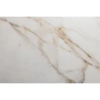 Плитка PERONDA Dahlia DAHLIA WHITE SP/100X275/R 275x100 изображение 2