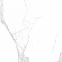 Плитка Teo Ceramics Carrara White F P Mat 60x60 изображение 2