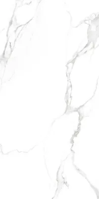 Плитка Teo Ceramics Carrara White F P R Full lappato 60x120 зображення 1