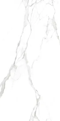 Плитка Teo Ceramics Carrara White F P R Full lappato 60x120 зображення 2