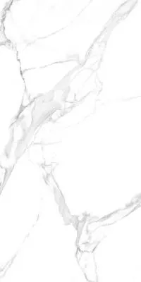 Плитка Teo Ceramics Carrara White F P R Full lappato 60x120 зображення 4
