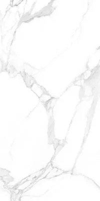 Плитка Teo Ceramics Carrara White F P R Full lappato 60x120 зображення 5