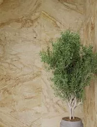 Плитка Zeus Ceramica FIERA DEL MARMO DAINO REALE ZRXFM31BR 60x60 изображение 6