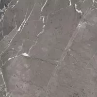 Плитка Zeus Ceramica FIERA DEL MARMO PULPIS GREY ZRXFM8BR 60x60 изображение 1