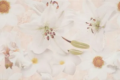 Декор Cersanit Alama beige flower, Фото