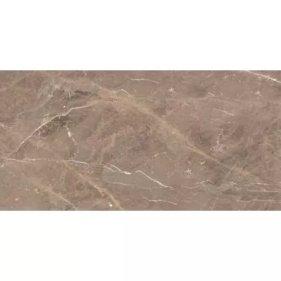Плитка MEGAGRES ALBI BROWN 60x120, Фото