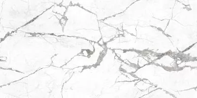 Плитка CERAMA MARKET ALESSIA INVISIBLE CARVING 60х120, Фото