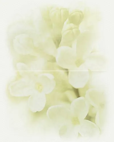 Декор Cersanit Andrea флауер декор, Фото