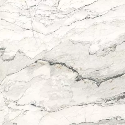 Плитка Argenta Ceramica BRECCIA LUNARE 120x120, Фото