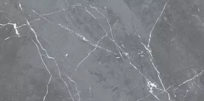 Плитка Cersanit CONRAD GRAPHITE MATT 29,8X59,8 G1, Фото