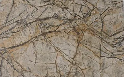 Плитка Gani Marble D697760N-A D697760N-B Rainforest Brown, Фото