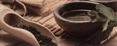 Декор Ceramika Konskie Marina Felicia 1 inserto 20x50, Фото