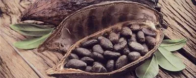 Декор Ceramika Konskie Marina Felicia 2 inserto 20x50, Фото