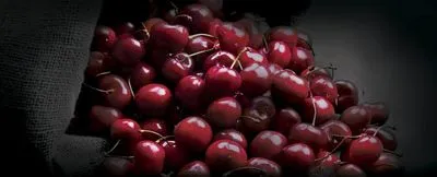 Декор Ceramika Konskie Michelle glass kitchen 2 inserto 20x50, Фото