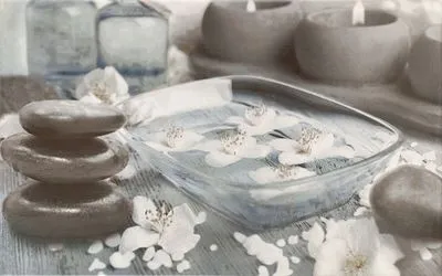 Декор Cersanit OLIVIA DECOR BLUE SPA2 25X40, Фото