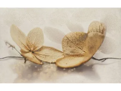 Декор Cersanit Samanta Цветы, Фото